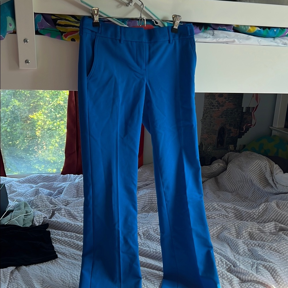 Express Royal Blue Flare Pants with Tailored Fit